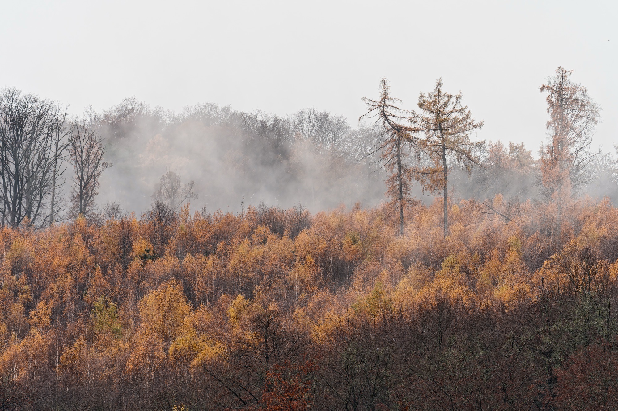 A7R01500 Bearbeitet Bearbeitet