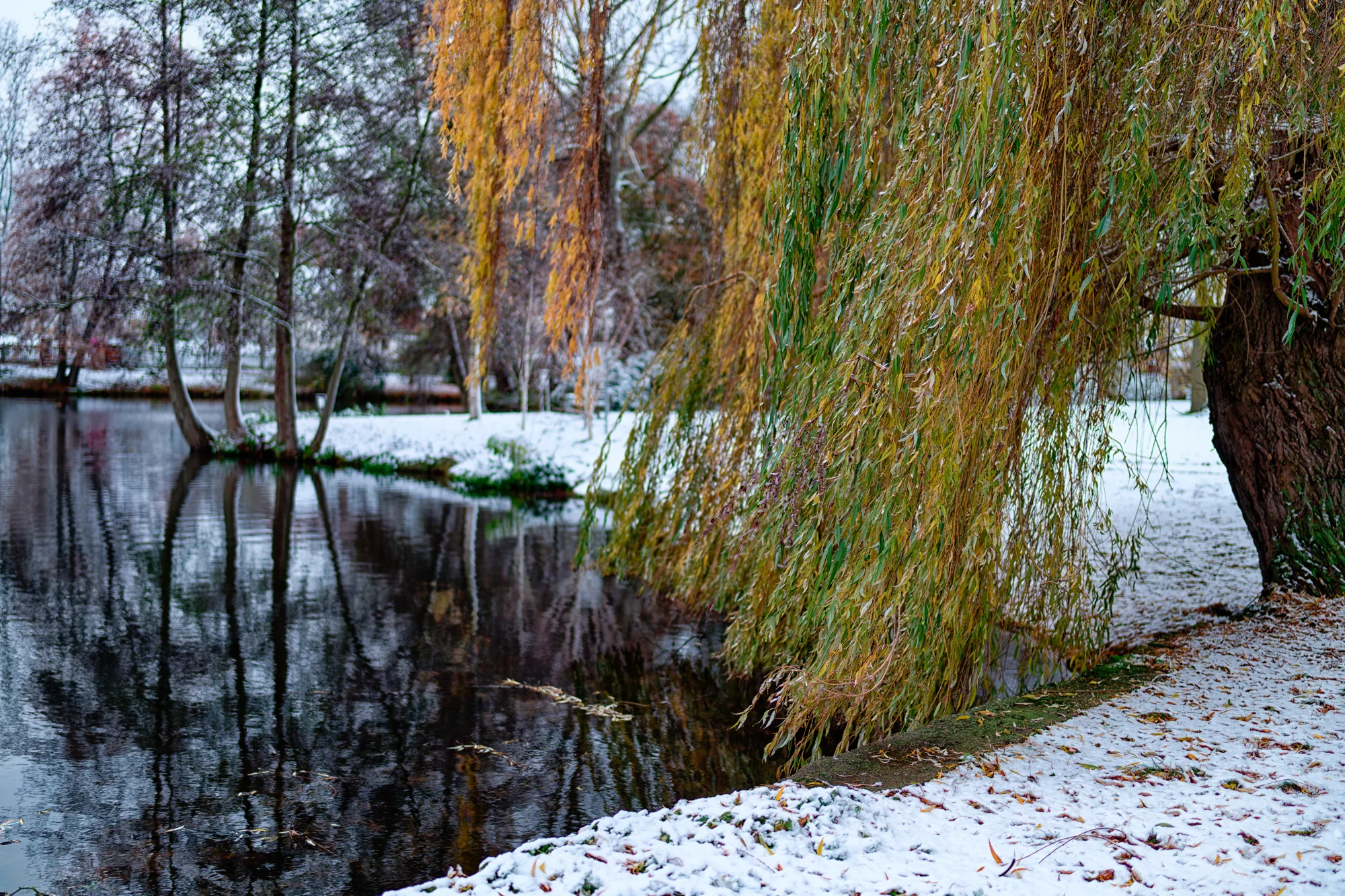 A7R01500 Bearbeitet Bearbeitet